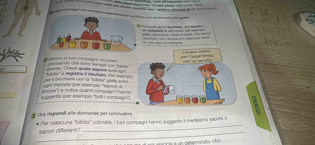 supericie / solo all'estremità della lingua 
sol0 pella parte superiore / in ogni punto delle cavità nasali. 
# Un cdore sí può percepire solo per diretto contatto con / anche a distanza da ció che lo emette 
O leggí ed esegui una semplice esperiare una caratterística del gusto 
Procurati alcuni bicchieri, dell'acqua e 
dei coloranti di vari colori, per esempio 
giallo, arancione, rosso e verde. Poi riempl 
i bicchieri con l'acqua e in ciascuno versa 
un solo tipo di colorante. 
2 Mostra ai tuoi compagni i bicchieri, 
precisando che sono riempiti con "bibite" 
diverse. Chiedi quale sapore avrà ogni 
“bibita” e registra il risultato. Per esempi 
per il bicchiere con la “bibita” gialla scrivi 
ogni risposta (per esempio “sapore di 
limone") e indica quanti compagni l'hanno 
suggerita (per esempio “tutti i compagni”) 
3 Ora rispondi alle domande per concludere. 
_ 
Per ciascuna “bibita” colorata, i tuoi compagni hanno suggerito il medesimo sapore o 
_sapori differenti? 
noi associa a un determinato cibo