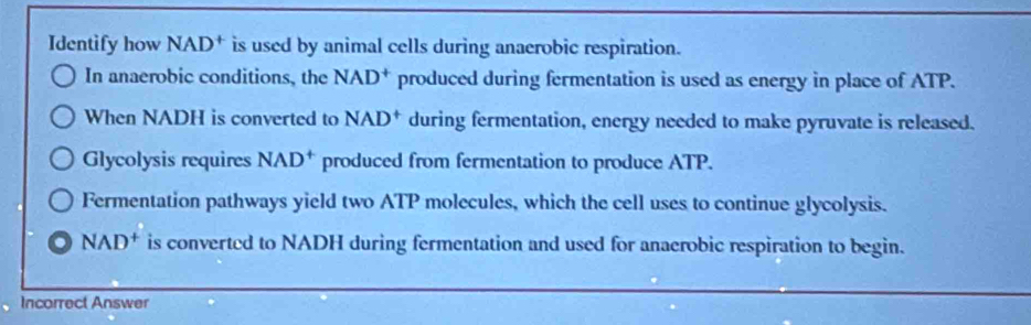 Identify how NAD† is used by animal cells during anaerobic respiration. 
In anaerobic conditions, the NAD^+ produced during fermentation is used as energy in place of ATP. 
When NADH is converted to NAD^+ during fermentation, energy needed to make pyruvate is released. 
Glycolysis requires NAD^+ produced from fermentation to produce ATP. 
Fermentation pathways yield two ATP molecules, which the cell uses to continue glycolysis.
NAD^+ is converted to NADH during fermentation and used for anaerobic respiration to begin. 
、 Incorrect Answer