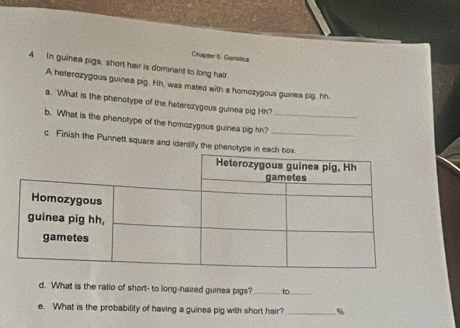 Chapter 5: Genetics 
4 In guinea pigs, short hair is dominant to long hair. 
A heterozygous guinea pig. Hh, was mated with a homozygous guinea pig, hh. 
a. What is the phenotype of the heterozygous guinea pig Hh? 
b. What is the phenotype of the homozygous guinea pig hh?_ 
c. Finish the Punnett square and identify the phenotype 
d. What is the ratio of short- to long-haired guinea pigs? _to_ 
e. What is the probability of having a guinea pig with short hair?_ 
%