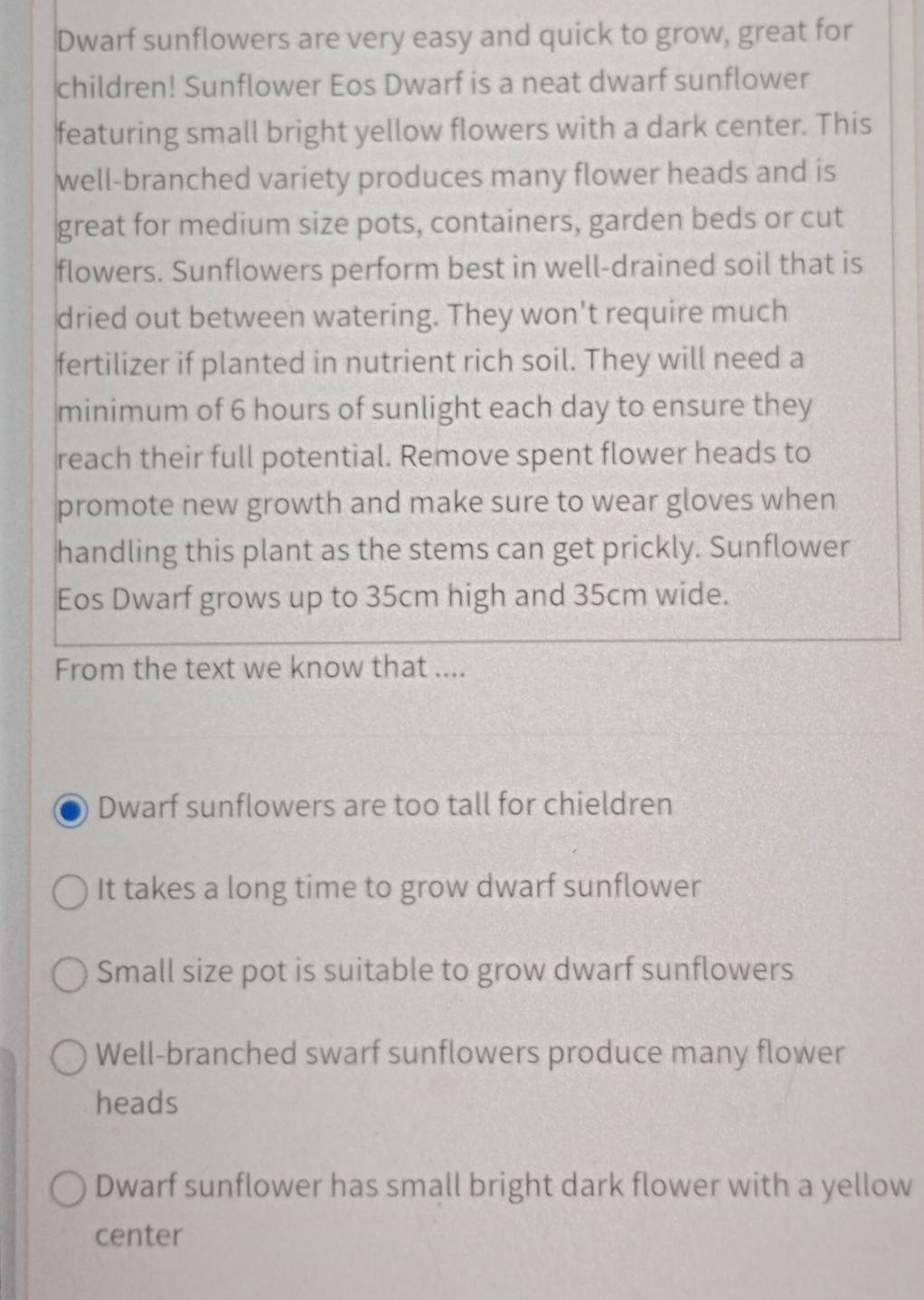 Dwarf sunflowers are very easy and quick to grow, great for
children! Sunflower Eos Dwarf is a neat dwarf sunflower
featuring small bright yellow flowers with a dark center. This
well-branched variety produces many flower heads and is
great for medium size pots, containers, garden beds or cut
flowers. Sunflowers perform best in well-drained soil that is
dried out between watering. They won't require much
fertilizer if planted in nutrient rich soil. They will need a
minimum of 6 hours of sunlight each day to ensure they
reach their full potential. Remove spent flower heads to
promote new growth and make sure to wear gloves when
handling this plant as the stems can get prickly. Sunflower
Eos Dwarf grows up to 35cm high and 35cm wide.
From the text we know that ....
Dwarf sunflowers are too tall for chieldren
It takes a long time to grow dwarf sunflower
Small size pot is suitable to grow dwarf sunflowers
Well-branched swarf sunflowers produce many flower
heads
Dwarf sunflower has small bright dark flower with a yellow
center