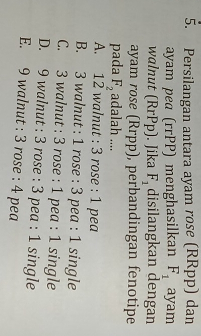 Persilangan antara ayam rose (RRpp) dan
ayam pea (rrPP) menghasilkan F_1 ayam
walnut (RrPp). Jika F_1 disilangkan dengan
ayam rose (Rrpp), perbandingan fenotipe
pada F_2 adalah ....
A. 12 walnut : 3 rose : 1 pea
B. 3 walnut : 1 rose : 3 pea : 1 single
C. 3 walnut : 3 rose : 1 pea : 1 single
D. 9 walnut : 3 rose : 3 pea : 1 single
E. 9 walnut : 3 rose : 4 pea