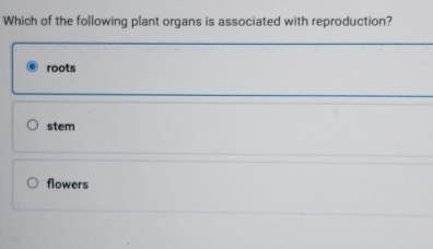 Which of the following plant organs is associated with reproduction?
roots
stem
flowers