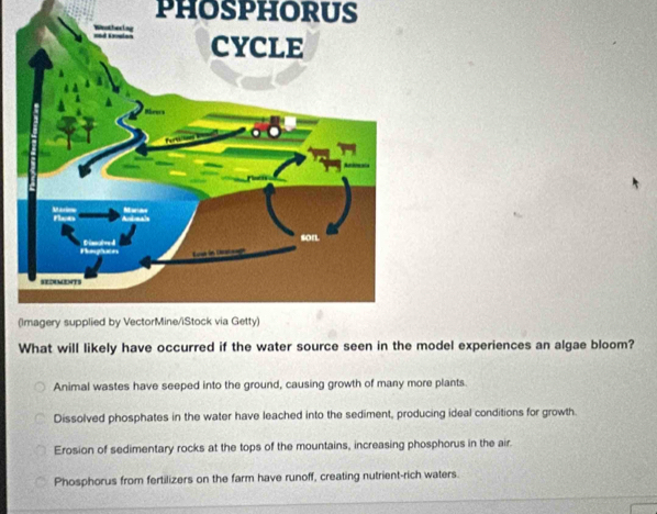 phosphorus
What will likely have occurred if the water source seen in the model experiences an algae bloom?
Animal wastes have seeped into the ground, causing growth of many more plants.
Dissolved phosphates in the water have leached into the sediment, producing ideal conditions for growth.
Erosion of sedimentary rocks at the tops of the mountains, increasing phosphorus in the air.
Phosphorus from fertilizers on the farm have runoff, creating nutrient-rich waters.