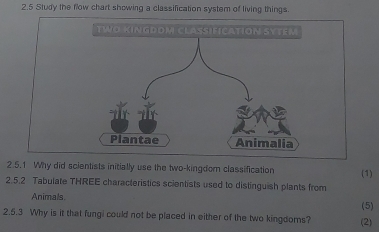 2.5 Study the flow chart showing a classification system of living things. 
2.5.1 Why did scientists initially use the two-kingdom classification 
2.5.2 Tabulate THREE characteristics scientists used to distinguish plants from (1) 
Animals. (5) 
2.5.3 Why is it that fungi could not be placed in either of the two kingdoms? (2)