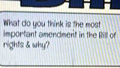 What do you think is the most 
important amendment in the Bill of 
rights & why?