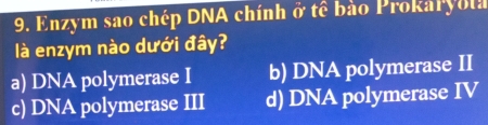 Enzym sao chép DNA chính ở tế bảo Prokaryola
là enzym nào dưới đây?
a) DNA polymerase I b) DNA polymerase II
c) DNA polymerase III d) DNA polymerase IV