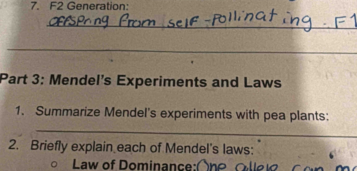 F2 Generation: 
_ 
_ 
Part 3: Mendel's Experiments and Laws 
1. Summarize Mendel's experiments with pea plants: 
_ 
2. Briefly explain each of Mendel's laws: 
Law of Dominance:(