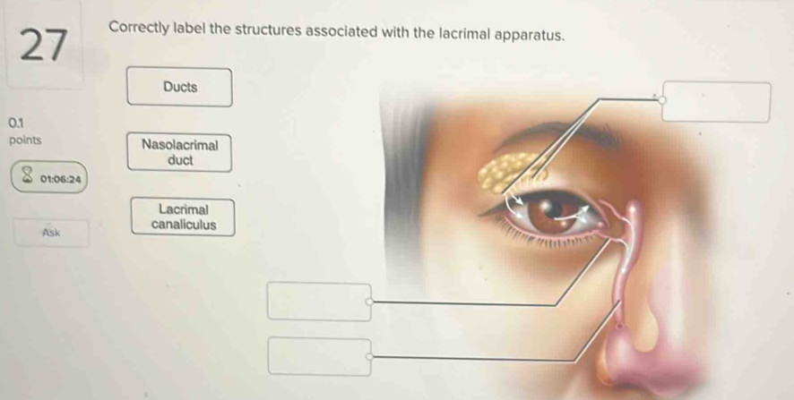 Correctly label the structures associated with the lacrimal apparatus. 
Ducts
0.1
points Nasolacrimal 
duct 
01:06:24 
Lacrimal 
Ask canaliculus