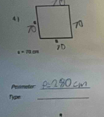 Pedmeter_
Type
_