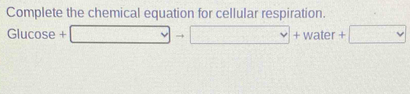 Complete the chemical equation for cellular respiration.
Glucos e e+□ to □ +water+□