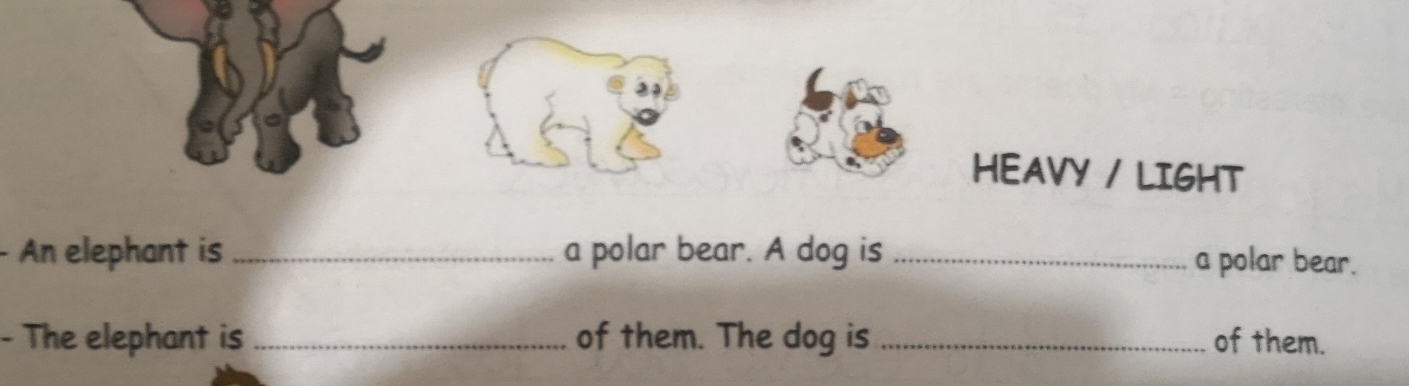 HEAVY / LIGHT 
An elephant is _a polar bear. A dog is _a polar bear. 
- The elephant is _of them. The dog is _of them.