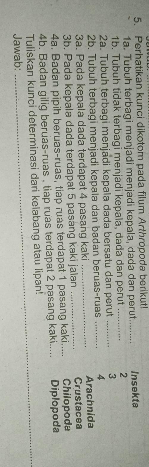 Perhatikan kunci dikotom pada filum Arthropoda berikut! 
1a. Tubuh terbagi menjadi menjadi kepala, dada dan perut_ Insekta 
1b. Tubuh tidak terbagi menjadi kepala, dada dan perut_ 
2 
2a. Tubuh terbagi menjadi kepala dada bersatu dan perut_ 
3 
2b. Tubuh terbagi menjadi kepala dan badan beruas-ruas_ 
4 
3a. Pada kepala dada terdapat 4 pasang kaki _Arachnida
3b. Pada kepala dada terdapat 5 pasang kaki jalan _Crustacea 
4a. Badan pipih beruas-ruas, tiap ruas terdapat 1 pasang kaki_ Chilopoda 
4b. Badan gilig beruas-ruas , tiap ruas terdapat 2 pasang kaki..... Diplopoda 
Tuliskan kunci determinasi dari kelabang atau lipan! 
Jawab: 
_