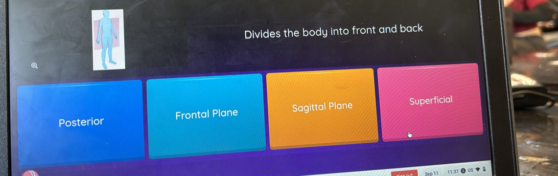 Divides the body into front and back

Posterior Frontal Plane Sagittal Plane Superficial
11:37