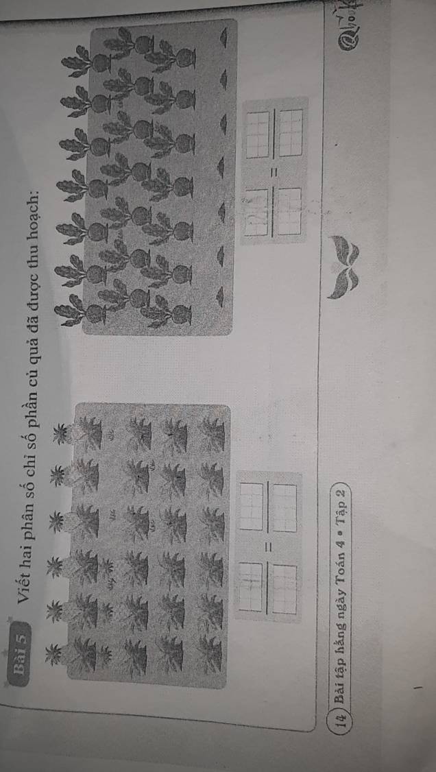 Viết hai phân số chỉ số phần củ quả đã được thu hoạch:
 (□ +□ )/□  = □ /□  
 □ /□  = □ /□  
14) Bài tập hằng ngày Toán 4· Tap2