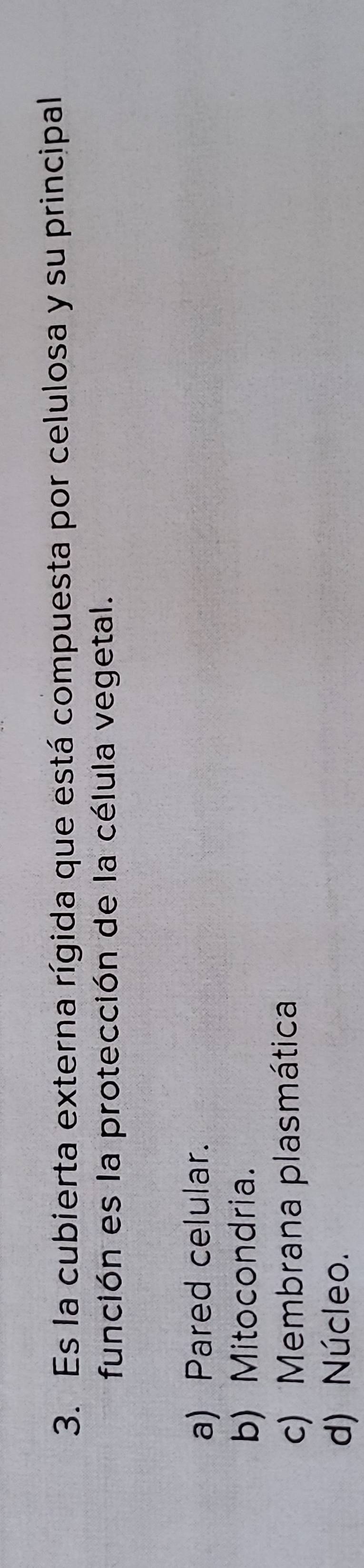 Es la cubierta externa rígida que está compuesta por celulosa y su principal
función es la protección de la célula vegetal.
a) Pared celular.
b) Mitocondria.
c) Membrana plasmática
d) Núcleo.