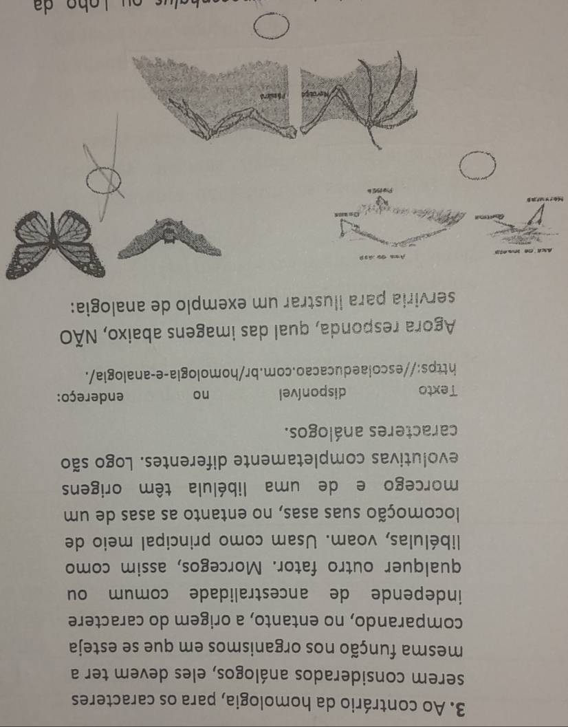 Ao contrário da homologia, para os caracteres 
serem considerados análogos, eles devem ter a 
mesma função nos organismos em que se esteja 
comparando, no entanto, a origem do caractere 
independe de ancestralidade comum ou 
qualquer outro fator. Morcegos, assim como 
libélulas, voam. Usam como principal meio de 
locomoção suas asas, no entanto as asas de um 
morcego e de uma libélula têm origens 
evolutivas completamente diferentes. Logo são 
caracteres análogos. 
Texto disponível no endereço: 
https://escolaeducacao.com.br/homologia-e-analogia/. 
Agora responda, qual das imagens abaixo, NÃO 
serviria para ilustrar um exemplo de analogia: 
Päslerd