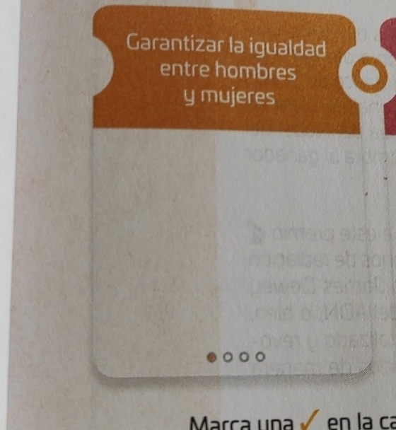 Garantizar la igualdad 
entre hombres 
y mujeres 
Marc n en la ca