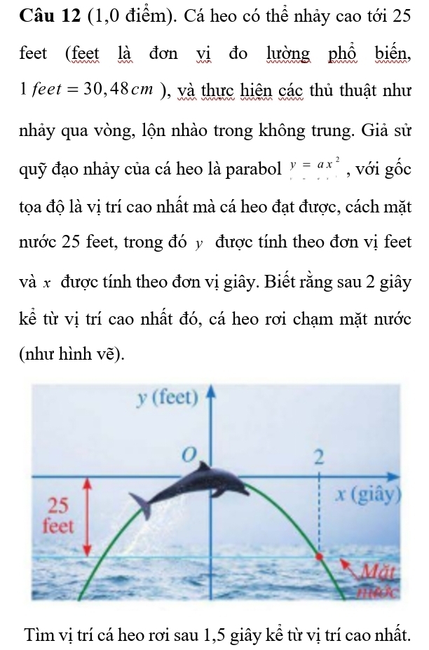 (1,0 điểm). Cá heo có thể nhảy cao tới 25
feet (feet là đơn vị đo lường phổ biển, 
1 fee t=30,48cm) và thực hiện các thủ thuật như 
nhảy qua vòng, lộn nhào trong không trung. Giả sử 
quỹ đạo nhảy của cá heo là parabol y=ax^2 , với gốc 
tọa độ là vị trí cao nhất mà cá heo đạt được, cách mặt 
nước 25 feet, trong đó y được tính theo đơn vị feet
và x được tính theo đơn vị giây. Biết rằng sau 2 giây 
kể từ vị trí cao nhất đó, cá heo rơi chạm mặt nước 
(như hình vẽ). 
Tìm vị trí cá heo rơi sau 1, 5 giây kể từ vị trí cao nhất.