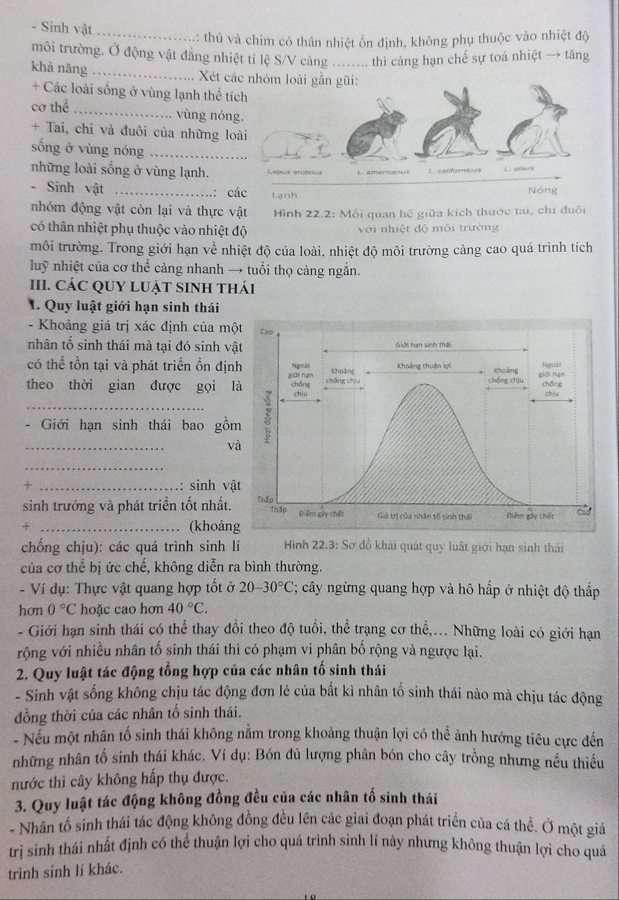 Sinh vật_
: thủ và chim có thân nhiệt ổn định, không phụ thuộc vào nhiệt độ
môi trường. Ở động vật đăng nhiệt tỉ lệ S/V càng ...... thì càng hạn chế sự toả nhiệt → tăng
khả nǎng _ Xét cá
+ Các loài sống ở vùng lạnh thể tí
cơ thể _vùng nón
+ Tai, chi và đuôi của những lo
sống ở vùng nóng_
những loài sống ở vùng lạnh.
- Sinh vật _: các Lạnh Nóng
nhóm động vật còn lại và thực vật  ình 22.2: Mối quan hệ giữa kích thước tai, chi đuôi
có thân nhiệt phụ thuộc vào nhiệt độ với nhiệt độ môi trường
môi trường. Trong giới hạn về nhiệt độ của loài, nhiệt độ môi trường càng cao quá trình tích
luỹ nhiệt của cơ thể càng nhanh → tuổi thọ càng ngắn.
III. CÁC QUY LUẬT SINH THáI
1. Quy luật giới hạn sinh thái
- Khoảng giá trị xác định của mộ
nhân tố sinh thái mà tại đó sinh vậ
có thể tồn tại và phát triển ổn địn
theo thời gian được gọi l
- Giới hạn sinh thái bao gồm
_
và
_
+ _: sinh vậ
sinh trưởng và phát triển tốt nhất.
+ _(khoảng
chống chịu): các quá trình sinh lí  ình 22.3: Sơ đồ khái quát quy luất giới hạn sinh thái
của cơ thể bị ức chế, không diễn ra bình thường.
- Ví dụ: Thực vật quang hợp tốt ở 20-30°C; cây ngừng quang hợp và hô hấp ở nhiệt độ thấp
hơn 0°C hoặc cao hơn 40°C.
- Giới hạn sinh thái có thể thay đổi theo độ tuổi, thể trạng cơ thể,... Những loài có giới hạn
rộng với nhiều nhân tố sinh thái thì có phạm vi phân bố rộng và ngược lại.
2. Quy luật tác động tổng hợp của các nhân tố sinh thái
- Sinh vật sống không chịu tác động đơn lẻ của bất kì nhân tố sinh thái nào mà chịu tác động
đồng thời của các nhân tố sinh thái.
- Nếu một nhân tố sinh thái không nằm trong khoảng thuận lợi có thể ảnh hưởng tiêu cực đến
những nhân tố sinh thái khác. Ví dụ: Bón đủ lượng phân bón cho cây trồng nhưng nếu thiếu
nước thì cây không hấp thụ được.
3. Quy luật tác động không đồng đều của các nhân tố sinh thái
- Nhân tố sinh thái tác động không đồng đều lên các giai đoạn phát triển của cá thể. Ở một giả
trị sinh thái nhất định có thể thuận lợi cho quá trình sinh lí này nhưng không thuận lợi cho quá
trình sinh lí khác.