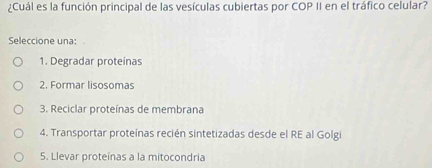 ¿Cuál es la función principal de las vesículas cubiertas por COP II en el tráfico celular?
Seleccione una:
1. Degradar proteínas
2. Formar lisosomas
3. Reciclar proteínas de membrana
4. Transportar proteínas recién sintetizadas desde el RE al Golgi
5. Llevar proteínas a la mitocondria