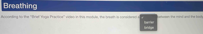 Breathing
According to the “Brief Yoga Practice” video in this module, the breath is considered a between the mind and the bod.
barrier
bridge