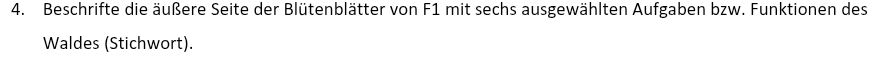 Beschrifte die äußere Seite der Blütenblätter von F1 mit sechs ausgewählten Aufgaben bzw. Funktionen des 
Waldes (Stichwort).