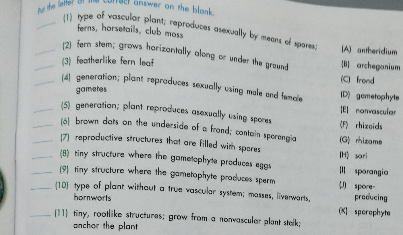 Put the letter or me correct answer on the blank.
ferns, horsetails, club moss
(1) type of vascular plant; reproduces asexually by means of spores; (A) antheridium
(2) fern stem; grows horizontally along or under the ground
(3) featherlike fern leaf
(B) archegonium
(C) frond
(4) generation; plant reproduces sexually using male and female
gametes
(D) gametophyte
(E) nonvascular
(5) generation; plant reproduces asexually using spores
(F) rhizoids
(6) brown dots on the underside of a frond; contain sporangia
(G) rhizome
_(7) reproductive structures that are filled with spores
(H) sori
_(8) tiny structure where the gametophyte produces eggs
(I) sporangia
_(9) tiny structure where the gametophyte produces sperm
(J) spore-
_(10) type of plant without a true vascular system; mosses, liverworts, producing
hornworts (K) sporophyte
_(11) tiny, rootlike structures; grow from a nonvascular plant stalk;
anchor the plant