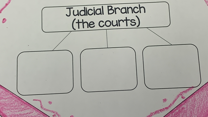 Judicial Branch 
(the courts)