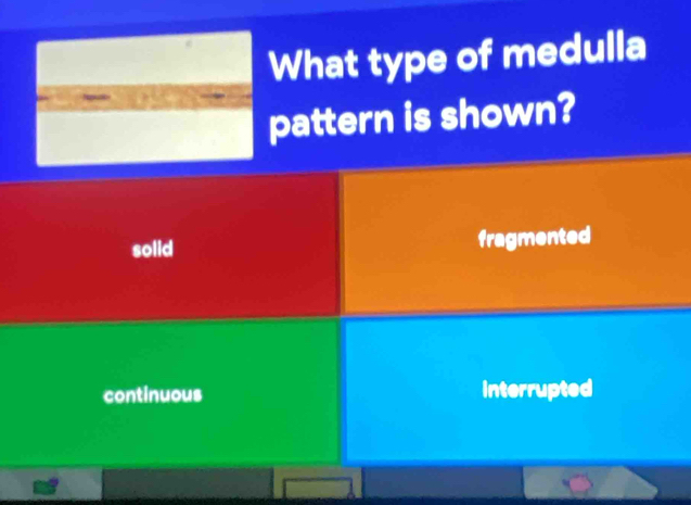 What type of medulla
pattern is shown?
solid fragmented
continuous interrupted