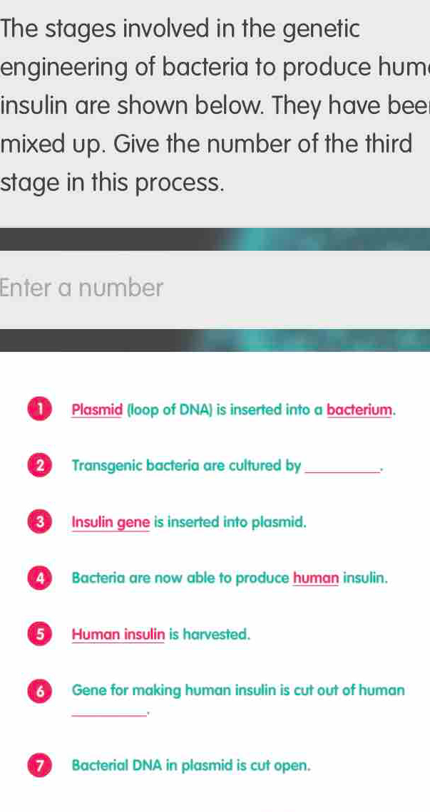 The stages involved in the genetic 
engineering of bacteria to produce hum 
insulin are shown below. They have bee 
mixed up. Give the number of the third 
stage in this process. 
Enter a number 
D Plasmid (loop of DNA) is inserted into a bacterium. 
2 Transgenic bacteria are cultured by_ 
、` 
Insulin gene is inserted into plasmid. 
Bacteria are now able to produce human insulin. 
5 Human insulin is harvested. 
Gene for making human insulin is cut out of human 
_、
7 Bacterial DNA in plasmid is cut open.