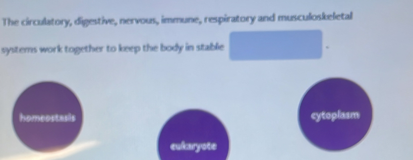 The circulatory, digestive, nervous, immune, respiratory and musculoskeletal 
systems work together to keep the body in stable 
s 
cytoplasm 
cukaryote
