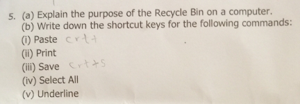 Explain the purpose of the Recycle Bin on a computer. 
(b) Write down the shortcut keys for the following commands: 
(i) Paste 
(ii) Print 
(iii) Save 
(iv) Select All 
(v) Underline