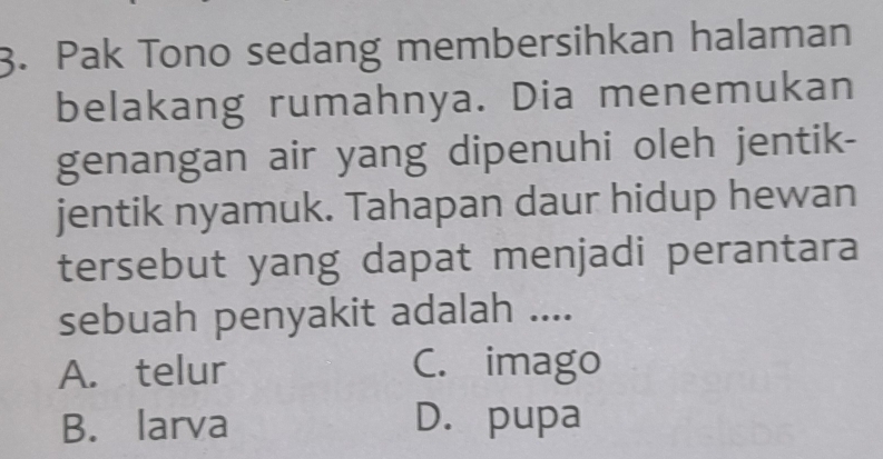 Pak Tono sedang membersihkan halaman
belakang rumahnya. Dia menemukan
genangan air yang dipenuhi oleh jentik-
jentik nyamuk. Tahapan daur hidup hewan
tersebut yang dapat menjadi perantara
sebuah penyakit adalah ....
A. telur C. imago
B. larva D. pupa