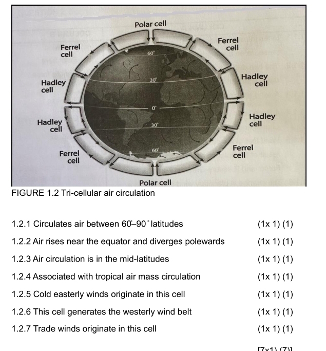 FIGURE 1.2 Tri-cellular air circulation
1.2.1 Circulates air between 60°-90° latitudes (1* 1)(1)
1.2.2 Air rises near the equator and diverges polewards (1* 1)(1)
1.2.3 Air circulation is in the mid-latitudes (1* 1)(1)
1.2.4 Associated with tropical air mass circulation (1* 1)(1)
1.2.5 Cold easterly winds originate in this cell (1* 1)(1)
1.2.6 This cell generates the westerly wind belt (1* 1)(1)
1.2.7 Trade winds originate in this cell (1* 1)(1)
[7* 1)(7)]