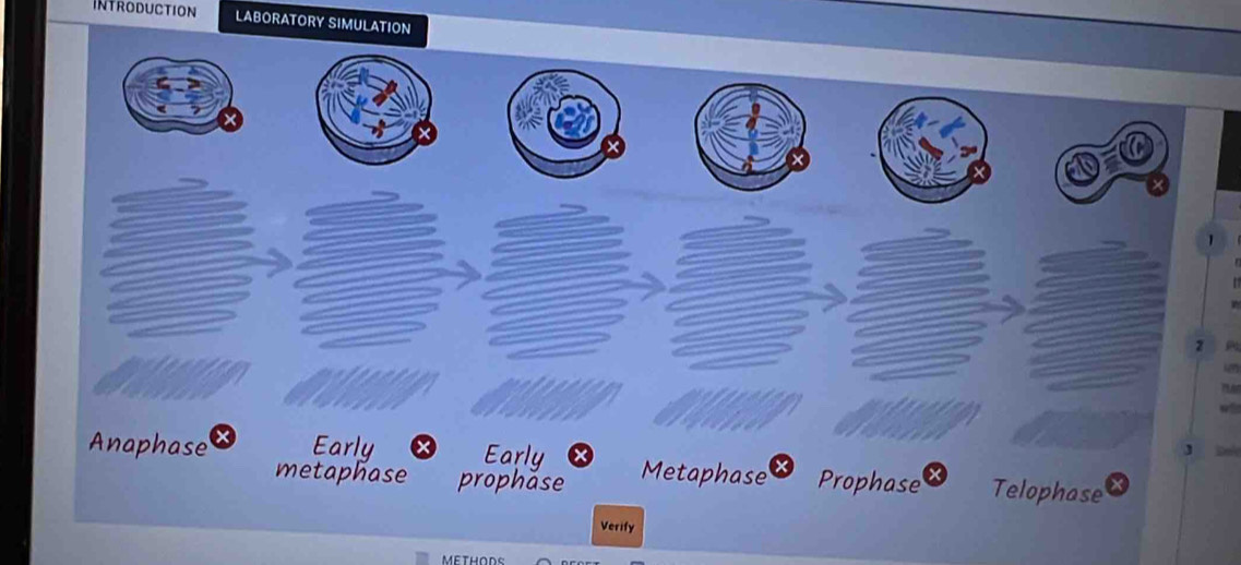 Introduction LABORATORY SIMULATION 
METHODS