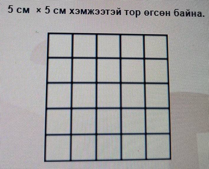 5CM* 5CM хэмжээтэй тор θгсθн байна.