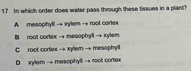 In which order does water pass through these tissues in a plant?
A mesophyll → xylem → root cortex
B root cortex → mesophyll → xylem
C root cortex → xylem → mesophyll
D xylem → mesophyll → root cortex