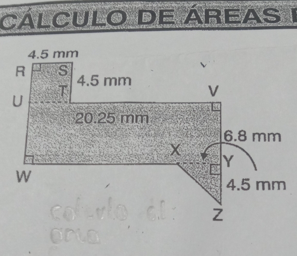 a “ 
CALCULO NNT