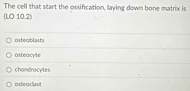 The cell that start the ossifcation, laying down bone matrix is
(LO 10.2)
osteoblasts
osteocyte
chondrocytes
osteoclast