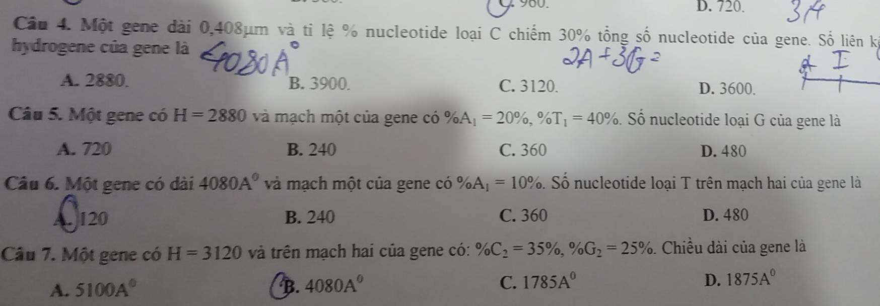 7 960. D. 720.
Cầu 4. Một gene dài 0,408μm và ti lệ % nucleotide loại C chiếm 30% tổng số nucleotide của gene. Số liên kế
hydrogene của gene là
A. 2880. B. 3900. C. 3120. D. 3600.
Câu 5. Một gene có H=2880 và mạch một của gene có % A_1=20% , % T_1=40% Số nucleotide loại G của gene là
A. 720 B. 240 C. 360 D. 480
Câu 6. Một gene có dài 4080A^0 và mạch một của gene có % A_1=10% S. Số nucleotide loại T trên mạch hai của gene là
A. 120 B. 240 C. 360 D. 480
Câu 7. Một gene có H=3120 và trên mạch hai của gene có: % C_2=35% , % G_2=25%. Chiều dài của gene là
D.
A. 5100A° B. 4080A^0 C. 1785A^0 1875A°