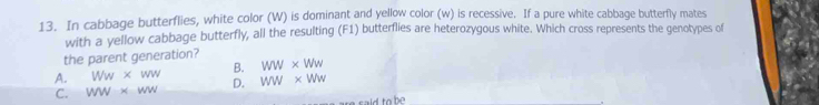 In cabbage butterflies, white color (W) is dominant and yellow color (w) is recessive. If a pure white cabbage butterfly mates
with a yellow cabbage butterfly, all the resulting (F1) butterflies are heterozygous white. Which cross represents the genotypes of
the parent generation?
A. Ww* ww B. WW* Ww
C. WW* wW D. WW* WW
said to be