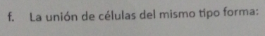 La unión de células del mismo tipo forma: