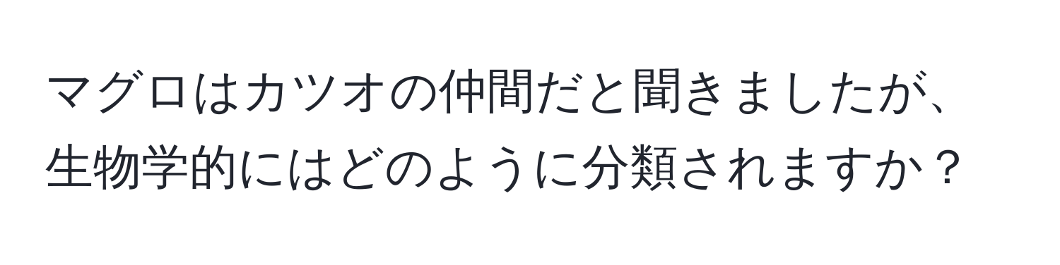 マグロはカツオの仲間だと聞きましたが、生物学的にはどのように分類されますか？