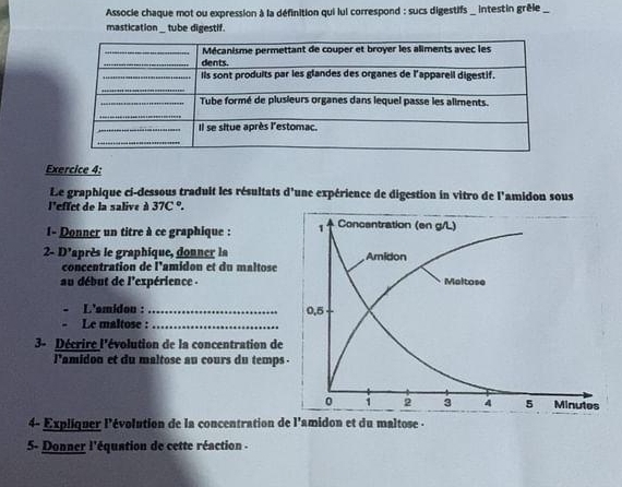 Associe chaque mot ou expression à la définition qui lui correspond : sucs digestifs _ intestin grêle_ 
mastication _ tube digestif. 
Exercice 4: 
Le graphique ci-dessous traduit les résultats d'une expérience de digestion in vitro de l'amidon sous 
l'effet de la salive à 37C°
I- Donner un titre à ce graphique : 
2- D' l'après le graphique, donner la 
concentration de l'amidon et du maltose 
au début de l'expérience - 
L'smidon : _ 
Le maltose :_ 
3- Décrire l'évolution de la concentration de 
l'amidon et du maltose au cours du temps 
- Expliquer l'évolution de la concentration de l'amidon et du maltose - 
5- Donner l'équation de cette réaction -