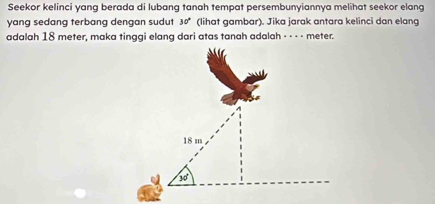 Seekor kelinci yang berada di lubang tanah tempat persembunyiannya melihat seekor elang
yang sedang terbang dengan sudut 30° (lihat gambar). Jika jarak antara kelinci dan elang