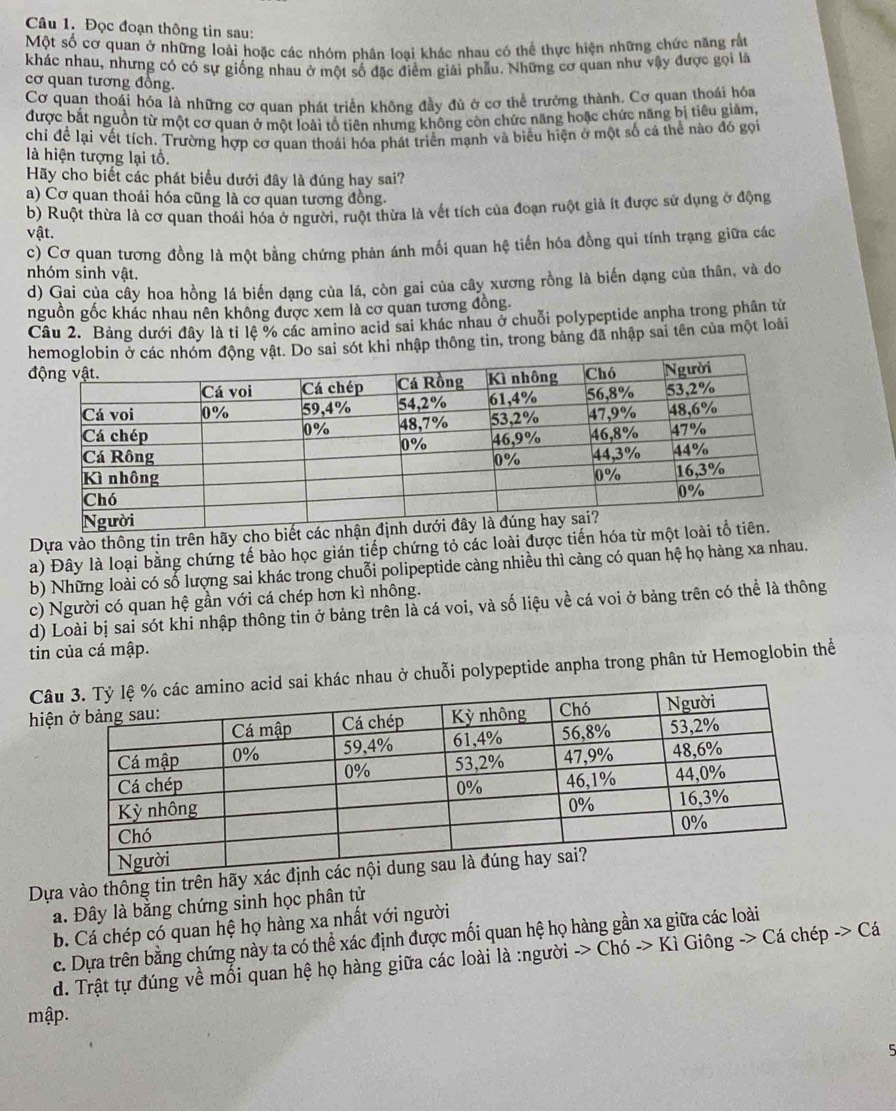 Đọc đoạn thông tin sau:
Một số cơ quan ở những loài hoặc các nhóm phân loại khác nhau có thể thực hiện những chức năng rất
khác nhau, nhưng có có sự giống nhau ở một số đặc điểm giải phẫu. Những cơ quan như vậy được gọi là
cơ quan tương đồng.
Cơ quan thoái hóa là những cơ quan phát triển không đầy đủ ở cơ thể trưởng thành. Cơ quan thoái hóa
được bắt nguồn từ một cơ quan ở một loài tổ tiên nhưng không còn chức năng hoặc chức năng bị tiêu giảm,
chỉ để lại vết tích. Trường hợp cơ quan thoái hóa phát triển mạnh và biểu hiện ở một số cá thể nào đó gọi
là hiện tượng lại tổ.
Hãy cho biết các phát biểu dưới đây là đúng hay sai?
a) Cơ quan thoái hóa cũng là cơ quan tương đồng.
b) Ruột thừa là cơ quan thoái hóa ở người, ruột thừa là vết tích của đoạn ruột giả ít được sử dụng ở động
vật.
c) Cơ quan tương đồng là một bằng chứng phản ánh mối quan hệ tiến hóa đồng qui tính trạng giữa các
nhóm sinh vật.
d) Gai của cây hoa hồng lá biến dạng của lá, còn gai của cây xương rồng là biến dạng của thân, và do
nguồn gốc khác nhau nên không được xem là cơ quan tương đồng.
Câu 2. Bảng dưới đây là tỉ lệ % các amino acid sai khác nhau ở chuỗi polypeptide anpha trong phân tử
sai sót khi nhập thông tin, trong bảng đã nhập sai tên của một loài
Dựa vào thông tin trên hãy cho
a) Đây là loại bằng chứng tế bào học gián tiếp chứng tỏ các loài được tiến hóa 
b) Những loài có số lượng sai khác trong chuỗi polipeptide càng nhiều thì càng có quan hệ họ hàng xa nhau.
c) Người có quan hệ gần với cá chép hơn kì nhông.
d) Loài bị sai sót khi nhập thông tin ở bảng trên là cá voi, và số liệu về cá voi ở bảng trên có thể là thông
tin của cá mập.
Câc nhau ở chuỗi polypeptide anpha trong phân từ Hemoglobin thể
hiệ
Dựa vào thông tin trên hãy
a. Đây là bằng chứng sinh học phân tử
b. Cá chép có quan hệ họ hàng xa nhất với người
c. Dựa trên bằng chứng này ta có thể xác định được mối quan hệ họ hàng gần xa giữa các loài
d. Trật tự đúng về mối quan hệ họ hàng giữa các loài là :người -> Chó -> Kì Giông -> Cá chép -> Cá
mập.
5