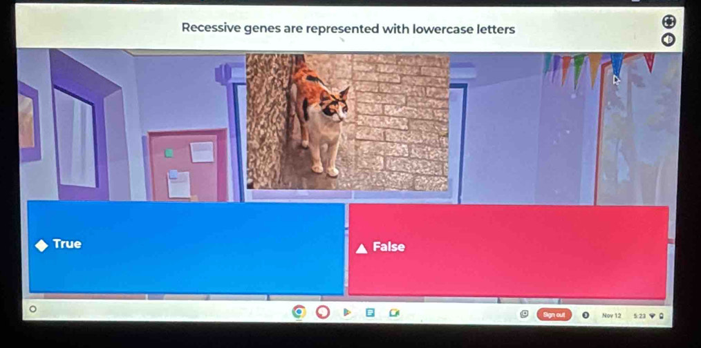 Recessive genes are represented with lowercase letters
True
False
Noy 12