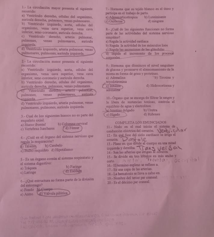 1.- La circulación mayor presenta el siguiente
recorrido 7.- Hormona que su tejido blanco es el útero y
a) Ventrículo derecho, células del organismo, participa en el trabajo de parto b) Luteinisante
a) Adenocorticotropica
aurícula derecha, pulmones, venas pulmonares.
b) Ventrículo izquierdo, aorta, células del c) Oxitócina d) ninguna
organismo, vena cava superior, vena cava 8.- ¿Cuál de las siguientes funciones no forma
inferior, seno coronario, aurícula derecha parte de las actividades del sistema nervioso
c) Ventrículo derecho, arteria pulmonar, simpático?
pulmones, venas pulmonares, aurícula a) Regula la actividad cardiaca
izquierda b) Regula la actividad de los músculos lisos
d) Ventrículo izquierdo, arteria pulmonar, venas c) Regula las secreciones de las glándulas
pulmonares, pulmones, aurícula izquierda d) impide el incremento de los procesos
corporales
2.- La circulación menor presenta el siguiente
recorrido: 9.- Hormona que disminuye el nivel sanguíneo
n) Ventrículo izquierdo, aorta, células del de glucosa y promueve el almacenamiento de la
organismo, vena cava superior, vena cava misma en forma de grasa y proteinas.
inferior, seno coronario y aurícula derecha a) Adrenalina b) Tiroxina y
b) Ventrículo derecho, células del organismo, triyodotironina
auricula derecha, pulmones, venas pulmonares. c) Insuliria d) Hidrocortisona y
c) Ventrículo derecho; arteria pulmonar, adrenalina
pulmones, venas pulmonares, aurícula
izquierda 10.- Órgano que se encarga de filtrar la sangre y
d) Ventrículo izquierdo, arteria pulmonar, venas la libera de sustancias toxicas, controla el
pulmonares, pulmones, aurícula izquierda equilibrio de agua y electrolitos.
a) Intestino delgado b) Uretra
3.- Cual de los siguientes huesos no es parte del c) Higado d) Riñones
esqueleto axial.
a) Hueso frontal b) Columna cervical COMPLETA LOS ENUNCIADOS
c) Vertebras Iumbares d) Fémur 11- Nodo en el cual inicia el sistema de
conducción eléctrica del corazón.
4.- ¿Cuál es el órgano del sistema nervioso que 12.- En qué fase del ciclo cardiaco se irriga el
regula la respiración? corazón.
() Tálamo b) Cerebelo 13.- Plano en que divide al cuerpo en una mitad
c) Bulbo raquídeo d) Hipotálamo izquierda y derecha.
14.- Son las arterias que irrigan al corazón
5.- Es un órgano común al sistema respiratorio y 15.- Se divide en tres lóbulos es más ancho y
el sistema digestivo: corto.
a) Tráquea b) Faringe 16.- El termino espleno se refiere a.
17.- Es una capa de las arterias.
c) Laringe d) Esófagy 18.- La hematosis se lleva a cabo en
6 - ¿Qué estructura no forma parte de la división 19.- Nombre del tercer par craneal.
del estomago? 20.- Es el décimo par craneal.
a) Fondo b) Cuerpo
a) Antro d) Válvula pilórica
3o(on 1 2 B 447