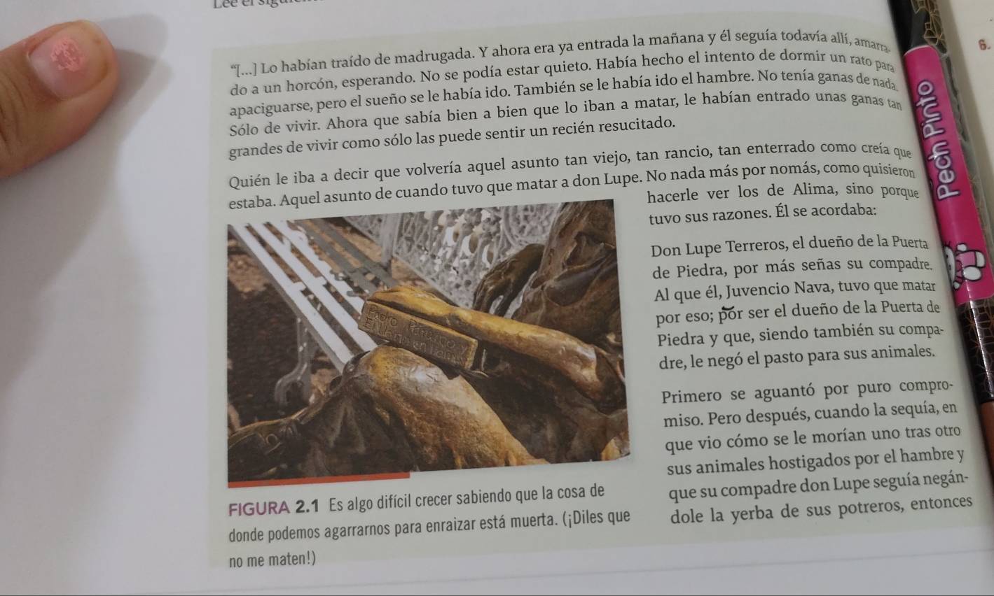 Lée er st 
[...] Lo habían traído de madrugada. Y ahora era ya entrada la mañana y él seguía todavía allí, amarra 
6. 
do a un horcón, esperando. No se podía estar quieto. Había hecho el intento de dormír un rato para 
apaciguarse, pero el sueño se le había ido. También se le había ido el hambre. No tenía ganas de nada 
Sólo de vivir. Ahora que sabía bien a bien que lo iban a matar, le habían entrado unas ganas tan 
grandes de vivir como sólo las puede sentir un recién resucitado. 
Quién le iba a decir que volvería aquel asunto tan viejo, tan rancio, tan enterrado como creía que 
e cuando tuvo que matar a don Lupe. No nada más por nomás, como quisieron 
hacerle ver los de Alima, sino porque 
uvo sus razones. Él se acordaba: 
Don Lupe Terreros, el dueño de la Puerta 
de Piedra, por más señas su compadre. 
Al que él, Juvencio Nava, tuvo que matar 
por eso; pór ser el dueño de la Puerta de 
Piedra y que, siendo también su compa- 
dre, le negó el pasto para sus animales. 
Primero se aguantó por puro compro- 
miso. Pero después, cuando la sequía, en 
que vio cómo se le morían uno tras otro 
sus animales hostigados por el hambre y 
FIGURA 2.1 Es algo difícil crecer sabiendo que la cosa de que su compadre don Lupe seguía negán- 
donde podemos agarrarnos para enraizar está muerta. (¡Diles que dole la yerba de sus potreros, entonces 
no me maten!)