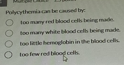Solved: Polycythemia can be caused by: too many red blood cells being ...